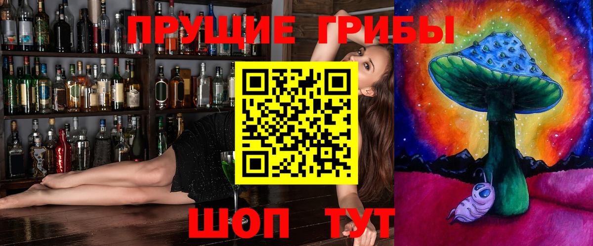 Ангарск  Галлюциногенные грибы Psilocybine cubensis  Вход с VPN 
